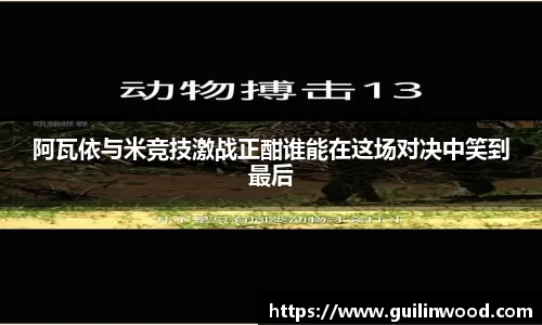 阿瓦依与米竞技激战正酣谁能在这场对决中笑到最后