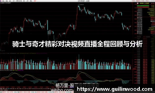 骑士与奇才精彩对决视频直播全程回顾与分析